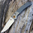 Складной нож Benchmade Hunt Crooked River 15080-1 - Складной нож Benchmade Hunt Crooked River 15080-1