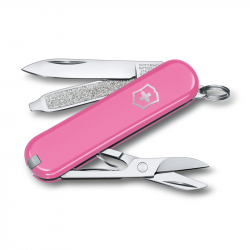 Многофункциональный складной нож-брелок Victorinox Classic SD Colors Cherry Blossom 0.6223.51G