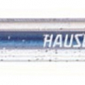 Гелевая ручка (20 шт/уп) HAUSER H6096-lightblue*
